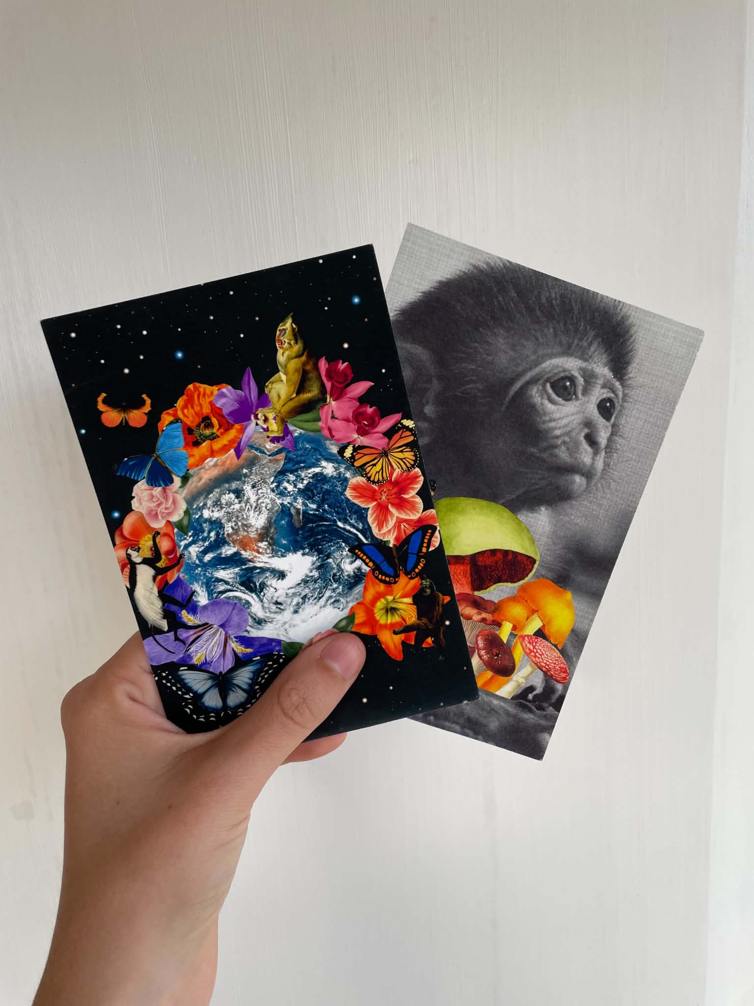 Join my art print club