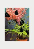 Monkey flower community, Art print